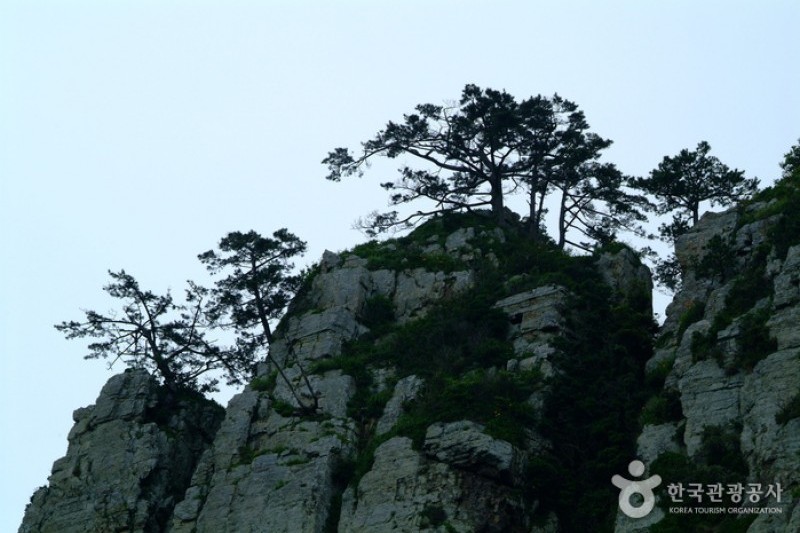 巨済島 海金剛 (1/5)