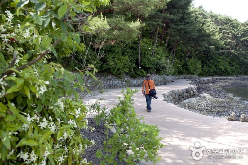 閑山島 (1/4)