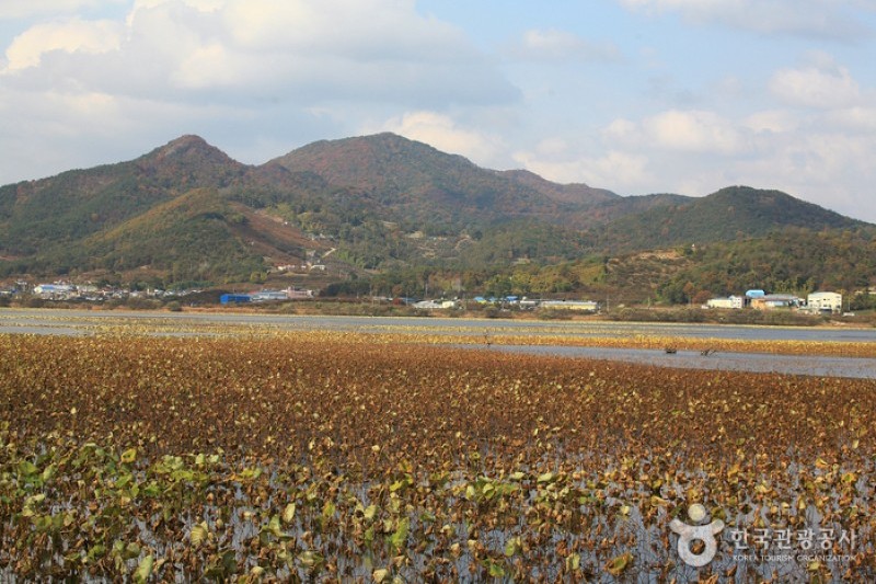 注南貯水池 (11/24)