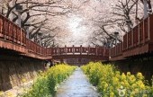 余佐川