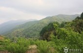 智異山国立公園（河東）（지리산국립공원