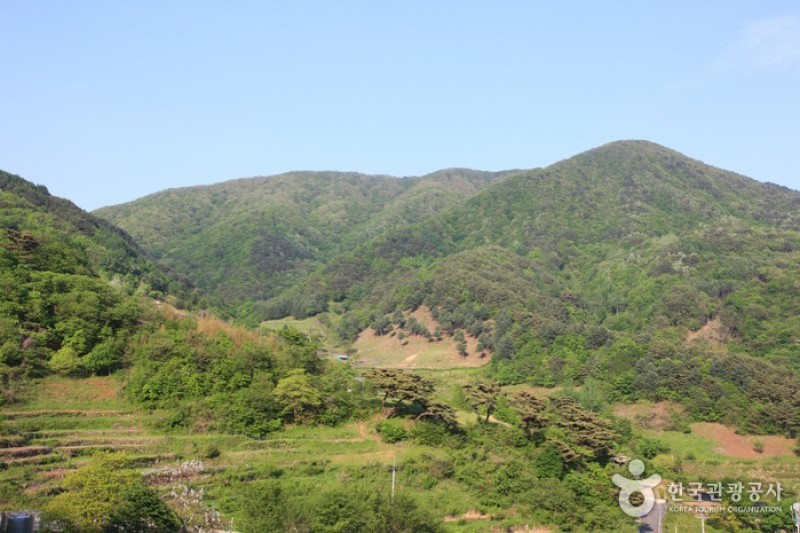 智異山国立公園（河東）（지리산국립공원 (2/11)