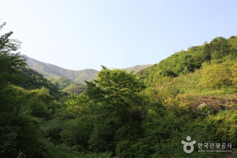智異山国立公園（河東）（지리산국립공원 (3/11)