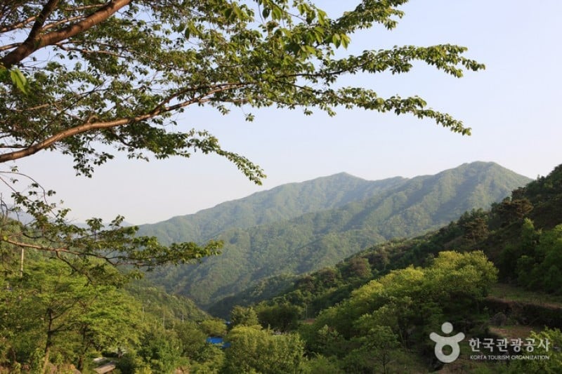 智異山国立公園（河東）（지리산국립공원 (4/11)