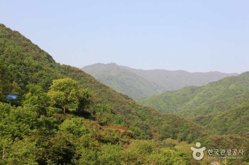 智異山国立公園（河東）（지리산국립공원 (5/11)