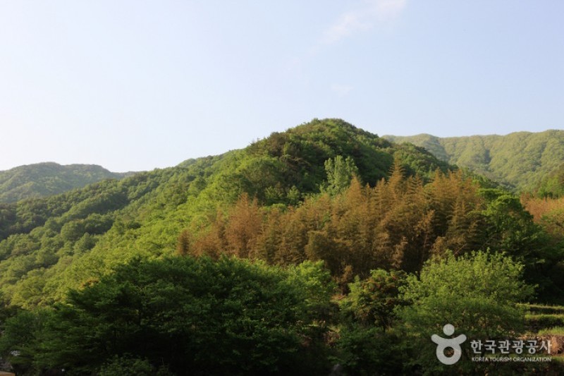 智異山国立公園（河東）（지리산국립공원 (6/11)