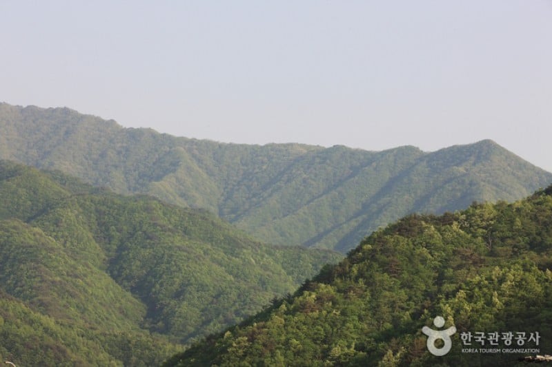 智異山国立公園（河東）（지리산국립공원 (7/11)