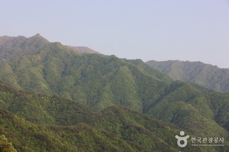 智異山国立公園（河東）（지리산국립공원 (8/11)