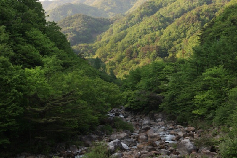 智異山国立公園（河東）（지리산국립공원 (9/11)