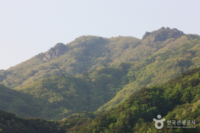智異山国立公園（河東）（지리산국립공원 (10/11)