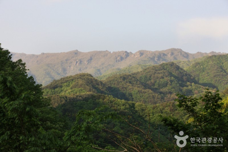 智異山国立公園（河東）（지리산국립공원 (11/11)