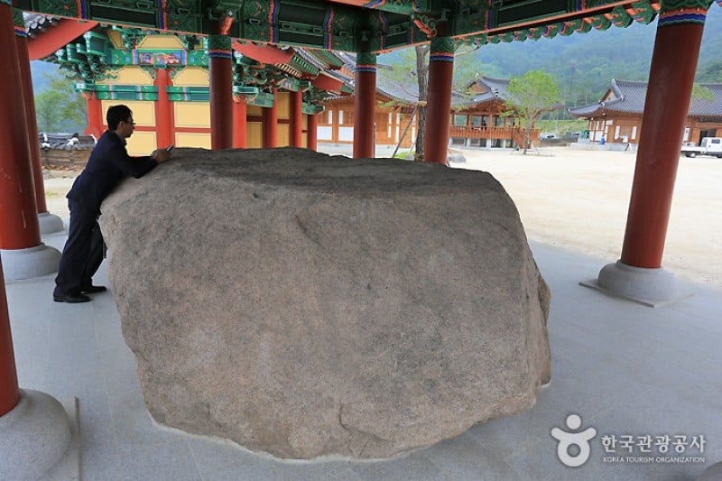 山清韓方テーマパーク（伝統韓方休養観光地）（산청한방테마파크 (2/13)