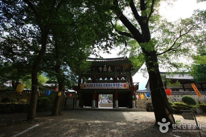 表忠寺 (1/20)
