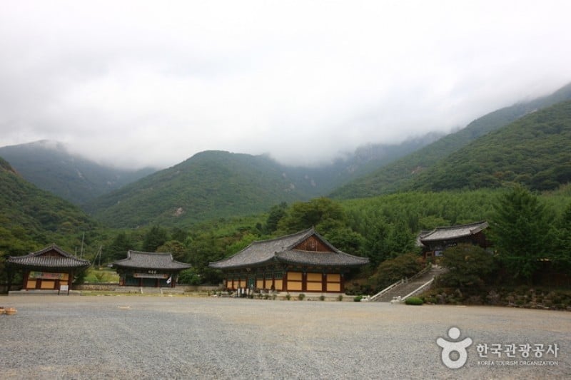 表忠寺 (3/20)