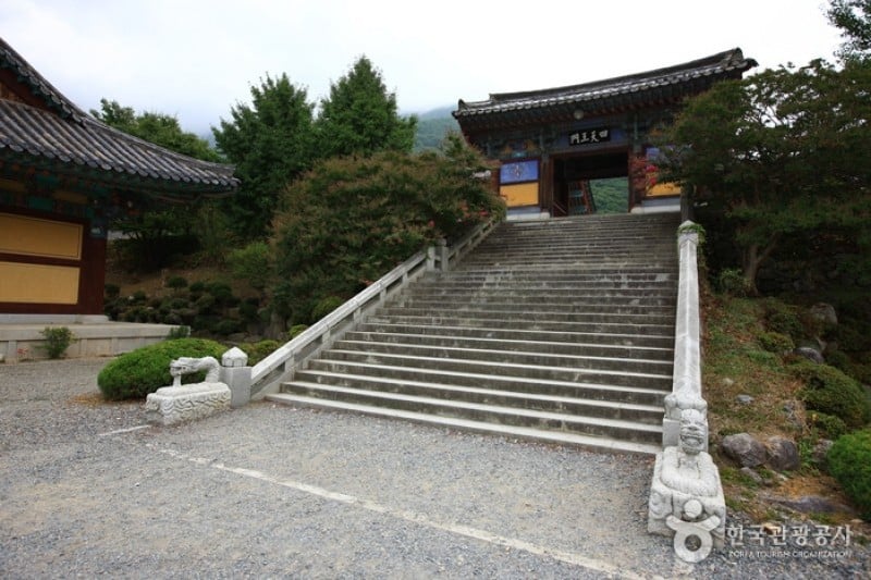 表忠寺 (4/20)
