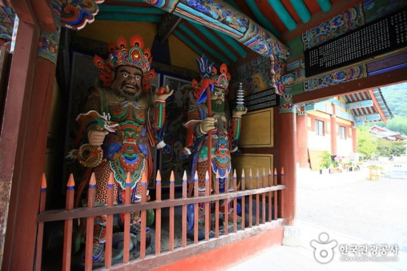 表忠寺 (5/20)