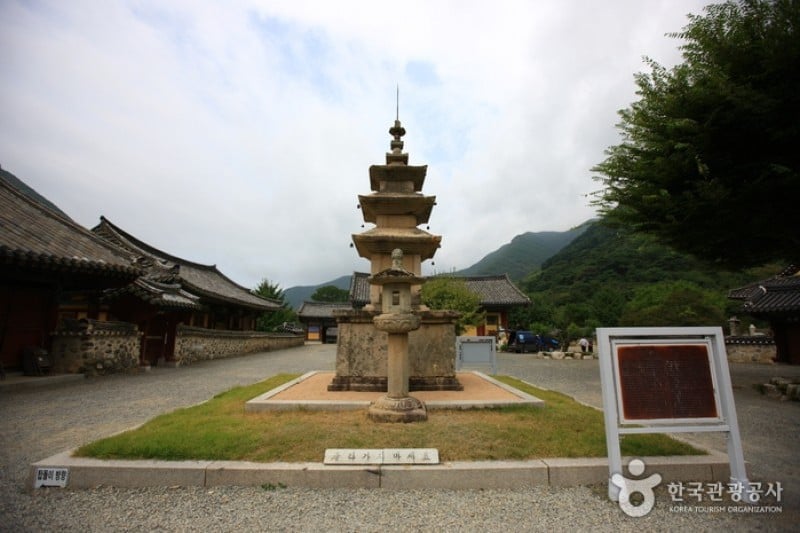 表忠寺 (7/20)