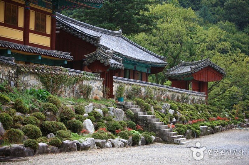 表忠寺 (19/20)