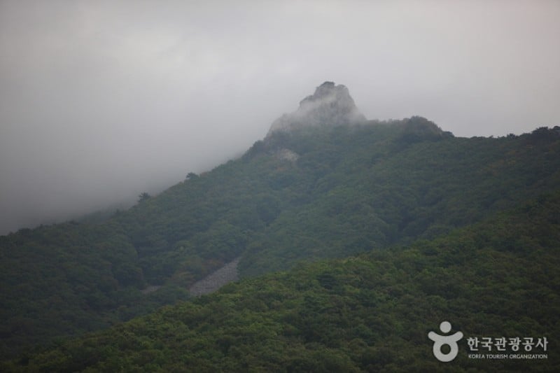 表忠寺 (20/20)