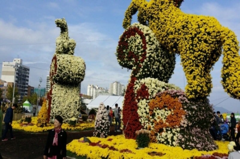 馬山カゴパ菊花祭り (2/4)