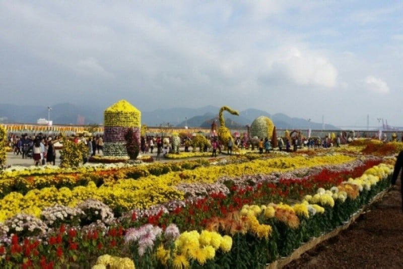 馬山カゴパ菊花祭り (4/4)