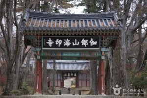 海印寺テンプルステイ