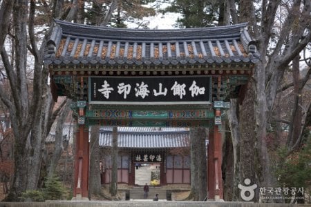 海印寺テンプルステイ