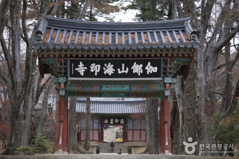 海印寺テンプルステイ (1/4)