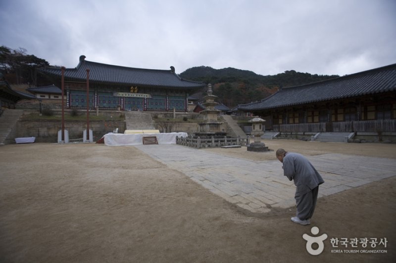 海印寺テンプルステイ (2/4)