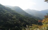 迦智山道立公園