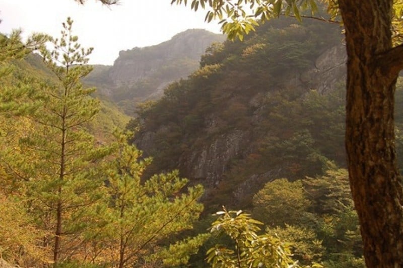 迦智山道立公園 (3/11)