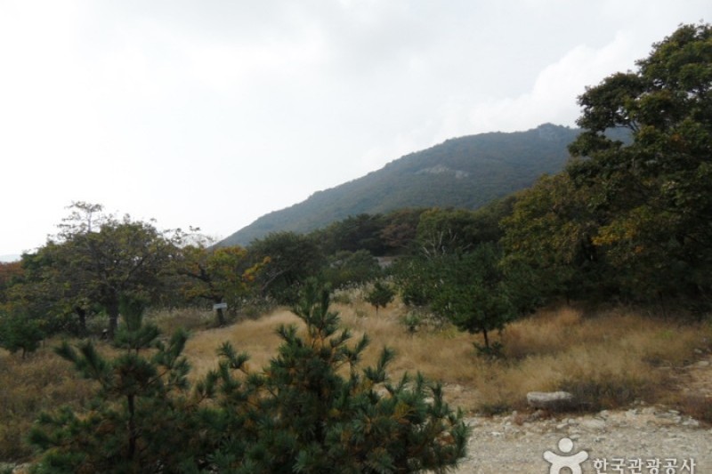 迦智山道立公園 (6/11)
