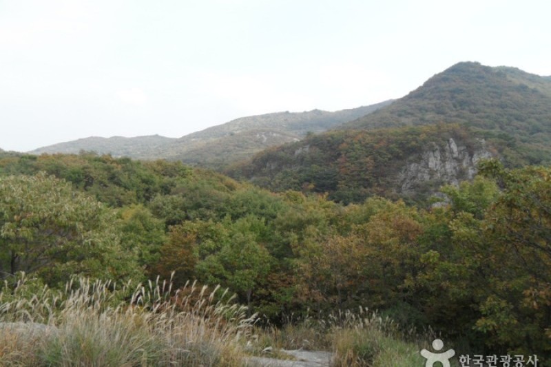 迦智山道立公園 (7/11)
