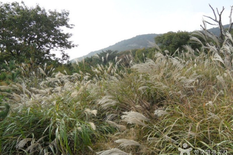 迦智山道立公園 (9/11)