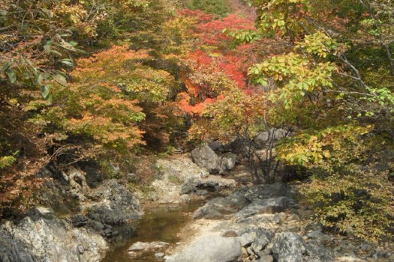 迦智山道立公園 (10/11)
