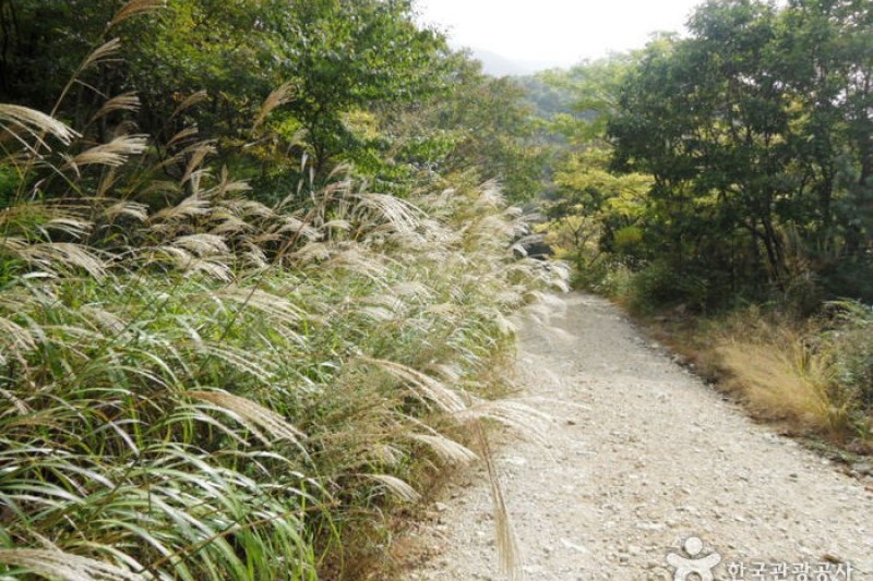 迦智山道立公園 (11/11)