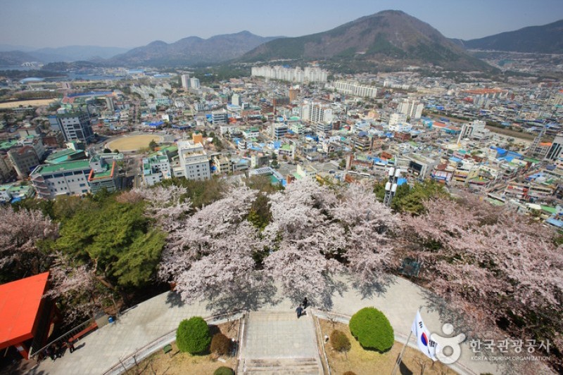 帝皇山公園 (6/9)