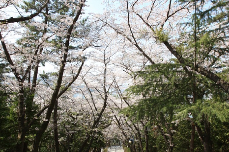 帝皇山公園 (9/9)