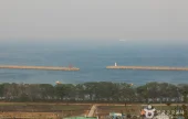 勿巾里防潮魚付林