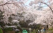 長福山彫刻公園