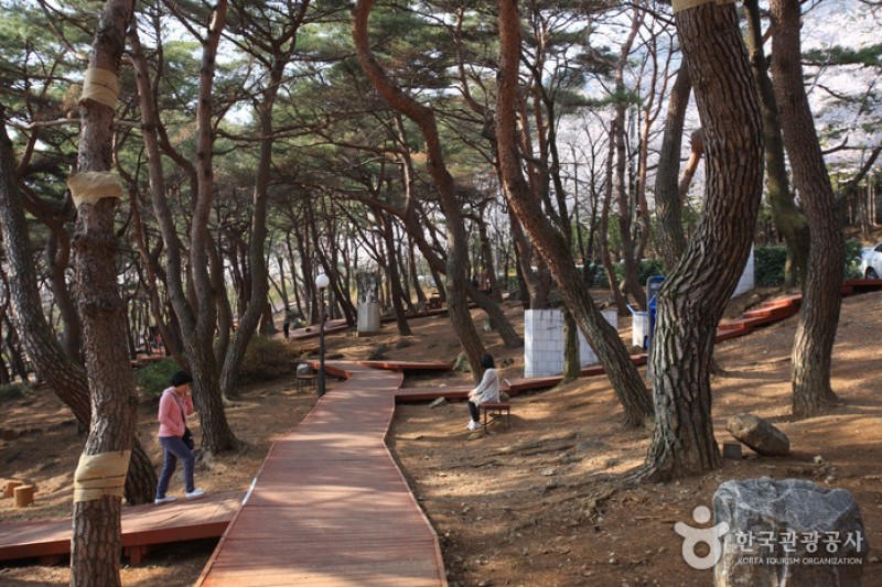 長福山彫刻公園 (2/10)