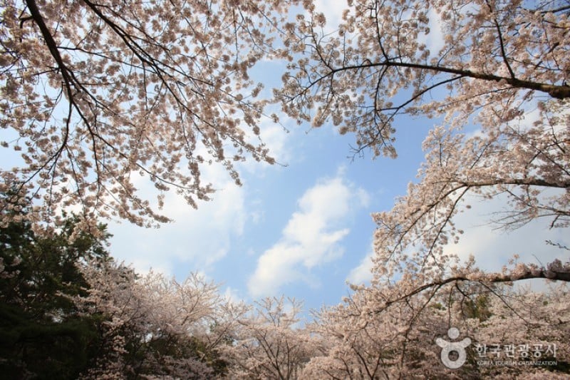 長福山彫刻公園 (3/10)