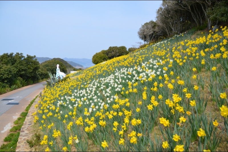 長蛇島海上公園 (18/27)