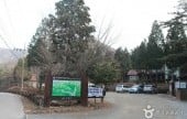 南海扁柏自然休養林