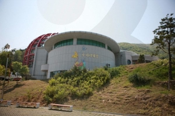 南海ナビ（蝶）＆ザ テーマパーク（旧 ナビ生態公園）（남해 나비&더 테마파크