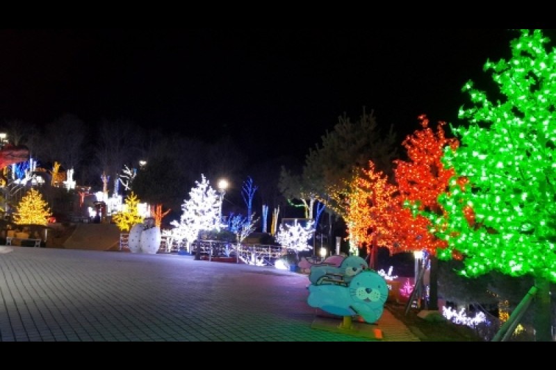 南海ナビ（蝶）＆ザ テーマパーク（旧 ナビ生態公園）（남해 나비&amp;더 테마파크  (1/20)