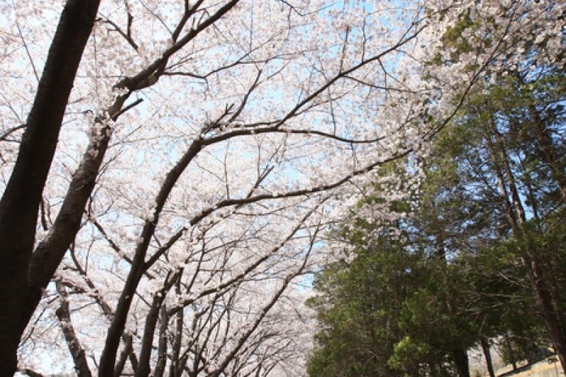 安民峠 (4/6)