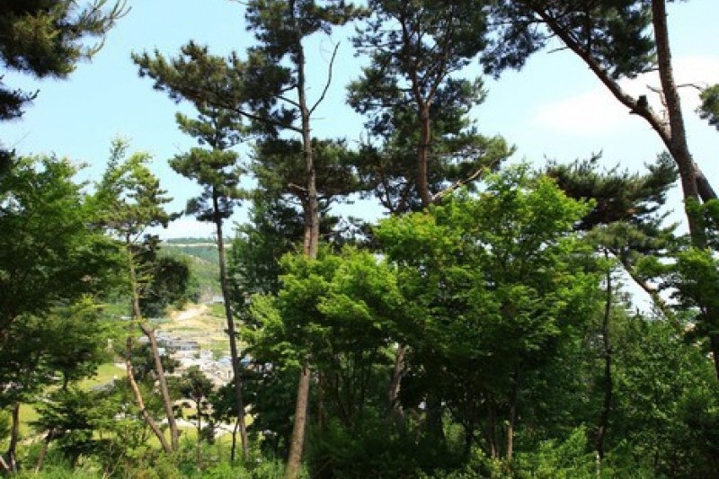 亀旨峰 (7/7)