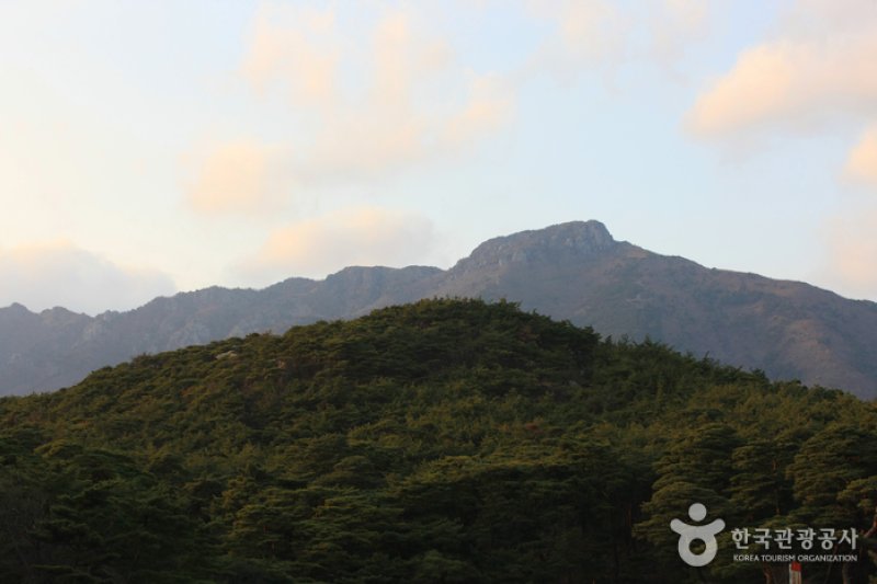 霊鷲山(영축산) (4/8)