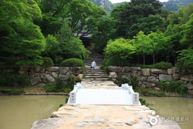 銀河寺 (2/7)